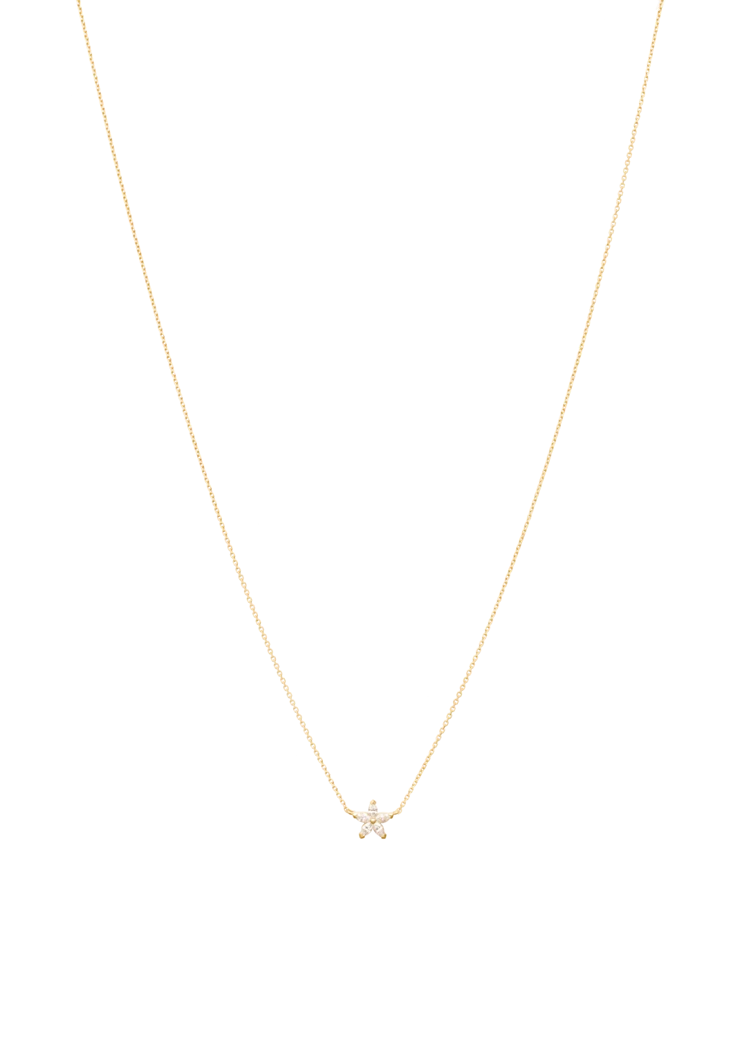 New In